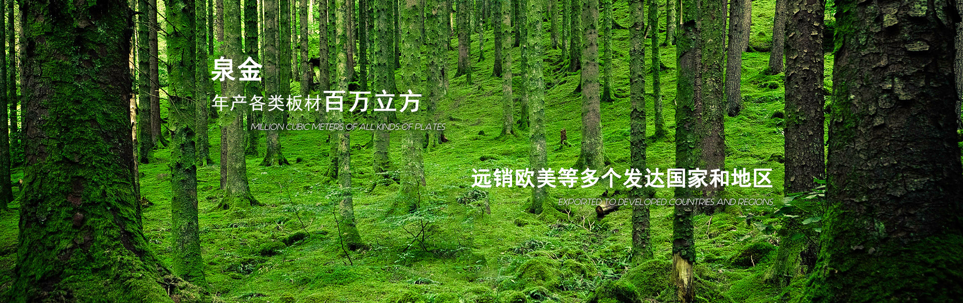 為了保護環境請使用更節能的磁懸浮冷水機組